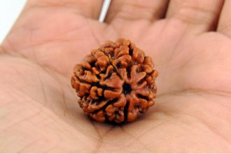 rudraksha-beads