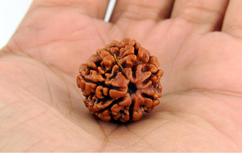 rudraksha-beads