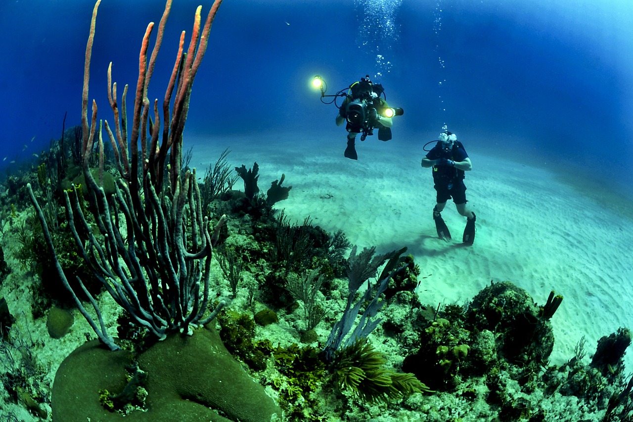 divers1