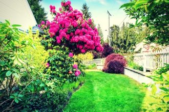 6-Ways-To-Maintain-Healthy-Landscape