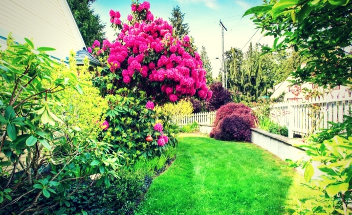 6-Ways-To-Maintain-Healthy-Landscape
