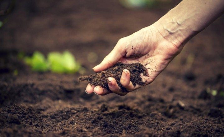 Use-fertilizer