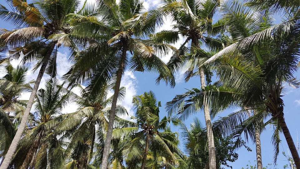Nusa Lembongan, Bali