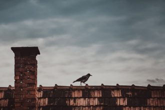 Chimney Cleaning