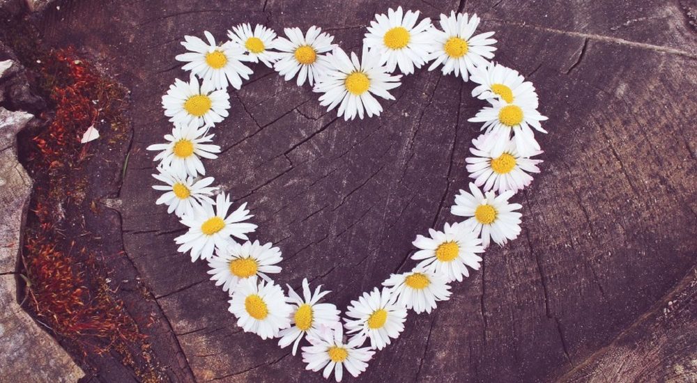Flower Artworks