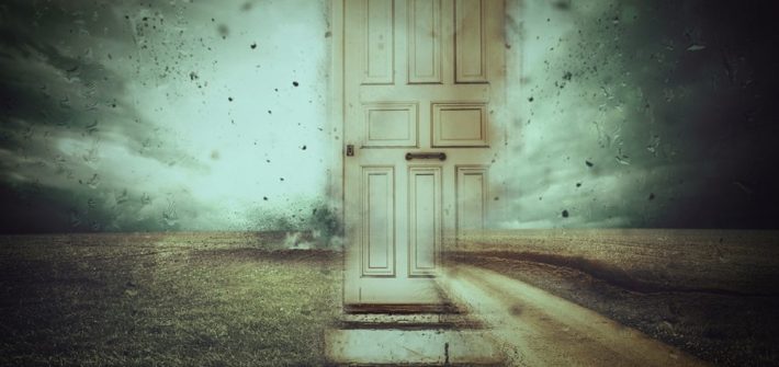 Storm Door