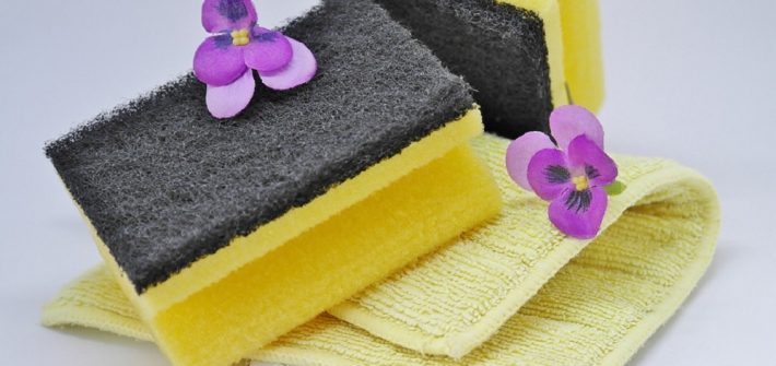 Household Toxins