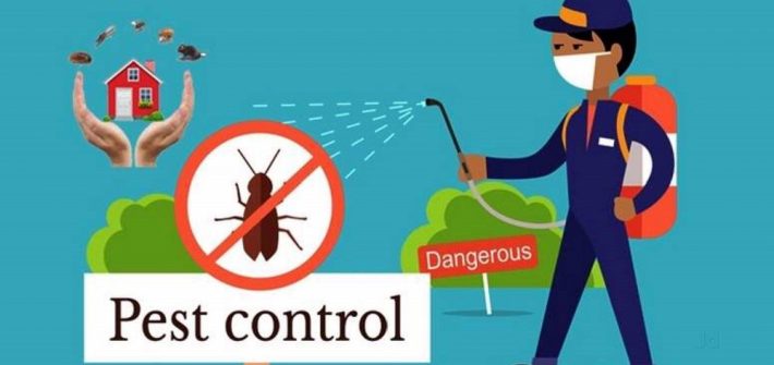 Pest Control
