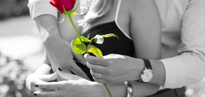 red rose