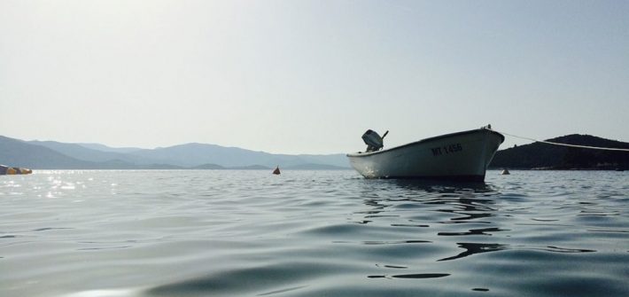 boats