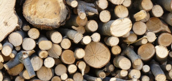 firewood-2
