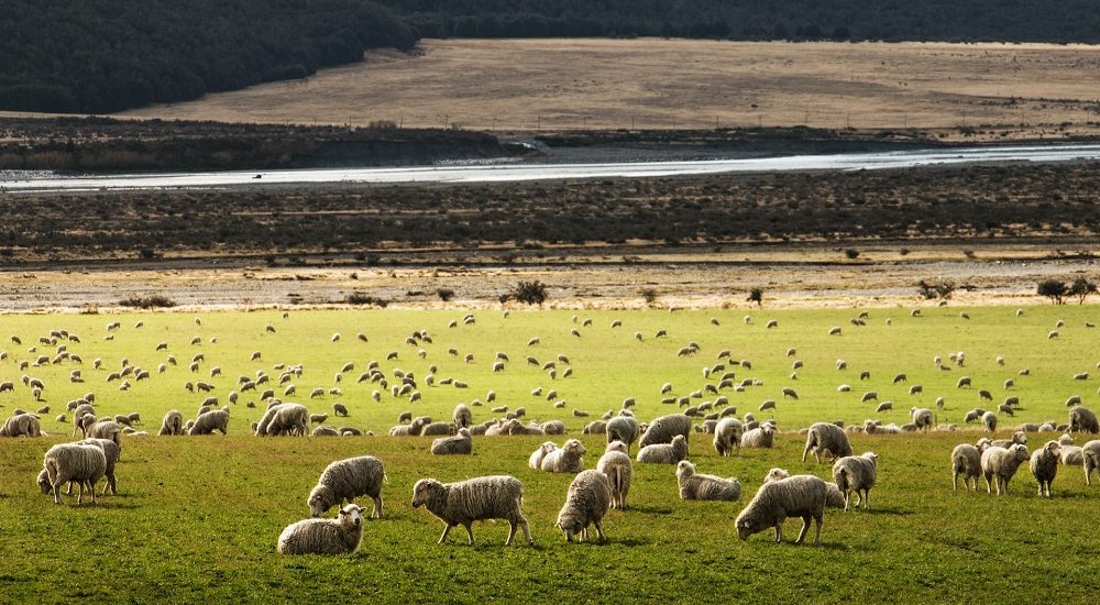 New Zealand North Island
