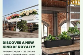 Garden Decorative items