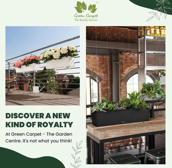 Garden Decorative items