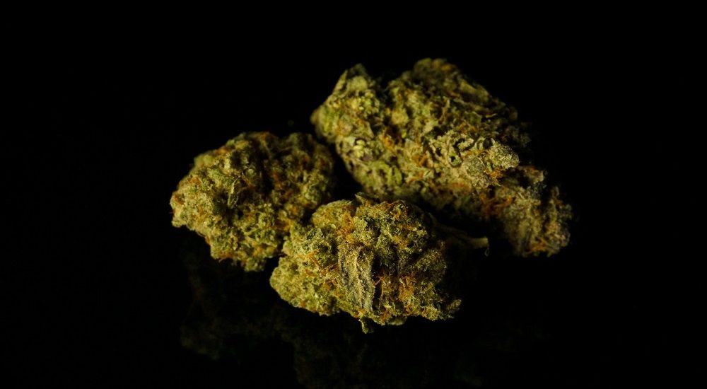 Sherbet Strain