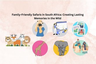 safari