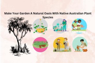 Australian plants