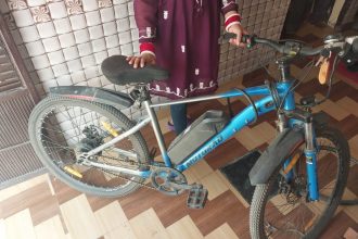 Emotorad Electric Cycle