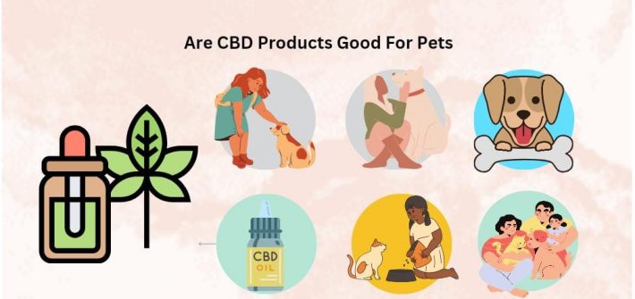 CBD products